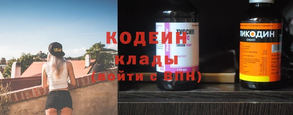 шишки Нея