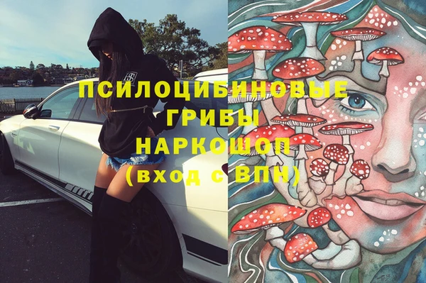 mix Алексин